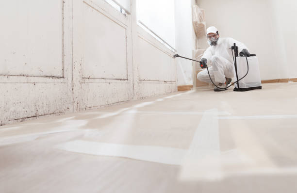24/7 Emergency Mold Remediation experts in Morrisville, NC