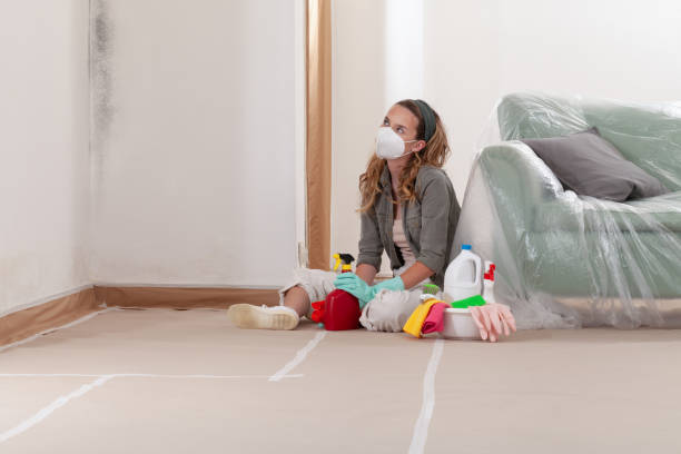 Reliable Mold Remediation contractor in Morrisville, NC by Mold Remediation HQ